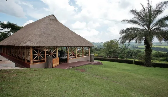 Chimpanzee Forest Lodge